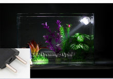 Outdoor Indoor Underwater led lamp, Waterproof led aquarium light for coral reef fish tank, Submersible Aquarium Spot Lamp light