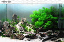 Aquarium Waterscape Gumwater, Aquarium Waterscape Gluewater to build beautiful environment for aquatic fish coral reef