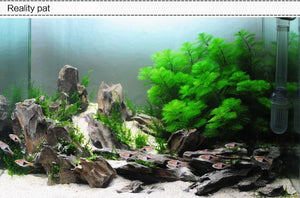 Aquarium Waterscape Gumwater, Aquarium Waterscape Gluewater to build beautiful environment for aquatic fish coral reef