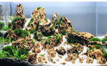 Aquarium Waterscape Gumwater, Aquarium Waterscape Gluewater to build beautiful environment for aquatic fish coral reef