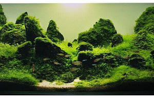 Aquarium Waterscape Gumwater, Aquarium Waterscape Gluewater to build beautiful environment for aquatic fish coral reef