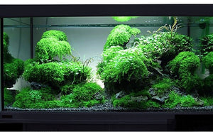 Aquarium Waterscape Gumwater, Aquarium Waterscape Gluewater to build beautiful environment for aquatic fish coral reef