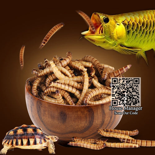 Aquarium Fish Feed Fresh-keeping Yellow mealworm & Barley pest worm for Tropical Fish Dragonfish Blood Parrot Flowerhor big fish