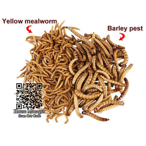 Aquarium Fish Feed Fresh-keeping Yellow mealworm & Barley pest worm for Tropical Fish Dragonfish Blood Parrot Flowerhor big fish