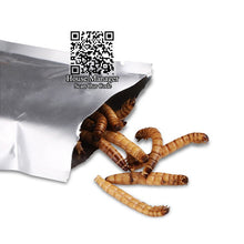 Aquarium Fish Feed Fresh-keeping Yellow mealworm & Barley pest worm for Tropical Fish Dragonfish Blood Parrot Flowerhor big fish