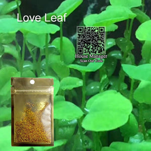 Aquatic Plant Waterweed Water Grass Seed Aquarium Plants Seeds, Couple/Cowhair/LOVE/Lucky/Heart/Red Leaf fish tank waterscape