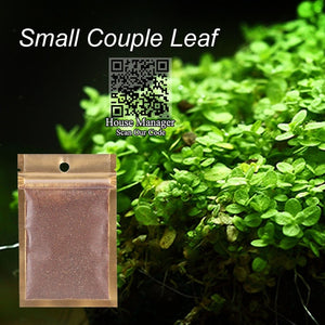 Aquatic Plant Waterweed Water Grass Seed Aquarium Plants Seeds, Couple/Cowhair/LOVE/Lucky/Heart/Red Leaf fish tank waterscape