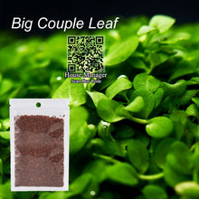 Aquatic Plant Waterweed Water Grass Seed Aquarium Plants Seeds, Couple/Cowhair/LOVE/Lucky/Heart/Red Leaf fish tank waterscape