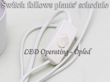 professional lighting diamond lens led grow lights china - Easy Grow LED bloom flower light  high power led grow light 2013