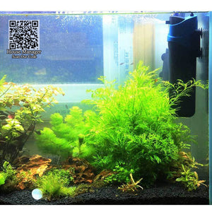 Aquarium UV Sterilizer, UV Lamp Pump for water filtering + Air Oxygen + Sterilization uv light, UV Sterilize fish tank aquarium