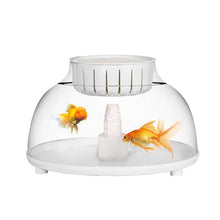 need extra air-operated Creative Small fish tank Fishing & Planting, round small bowl vase for Desktop Table House office decor