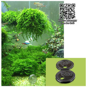 Moss Bed / Ball / Christmas tree for aquarium moss water plants modeling, Aquarium Fish Tank Waterscape Grass Moss design shape