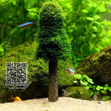 Moss Bed / Ball / Christmas tree for aquarium moss water plants modeling, Aquarium Fish Tank Waterscape Grass Moss design shape