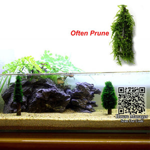 Moss Bed / Ball / Christmas tree for aquarium moss water plants modeling, Aquarium Fish Tank Waterscape Grass Moss design shape