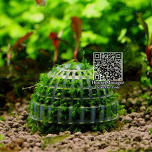 Aquarium Mineral Fertilizer Plant Ball for Moss Waterweed Grass Aquatic Plant,DIY Fertilizer Mineral Moss Ball decorate Aquarium