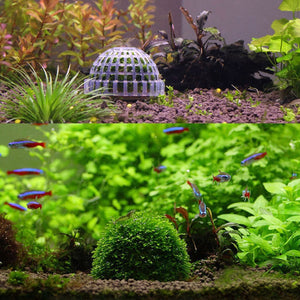 Aquarium Mineral Fertilizer Plant Ball for Moss Waterweed Grass Aquatic Plant,DIY Fertilizer Mineral Moss Ball decorate Aquarium