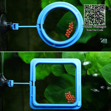 Aquarium Feeding Tool, feeding fish Floating Feeder Ring keep food for fish - Floating Food Tray Square / Round for your choice